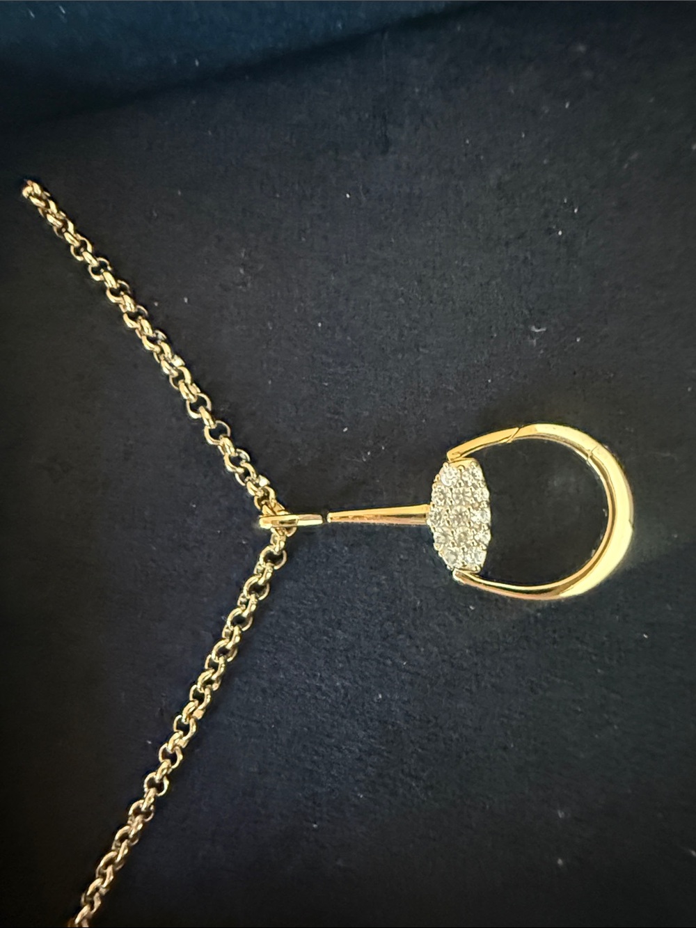 Awe Horsebit Rolo Chain Charm Link Necklace 14K Gold Vermeil NEW - Picture 4 of 8
